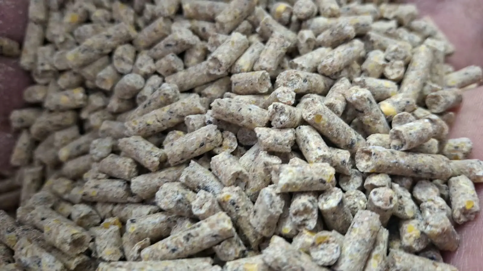 Construyendo calidad de pellet